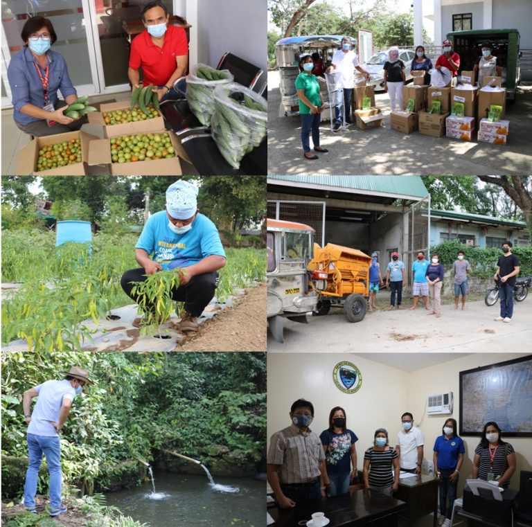 Pagpapalakas ng Agrikultura sa Lalawigan ng Batangas, Patuloy na